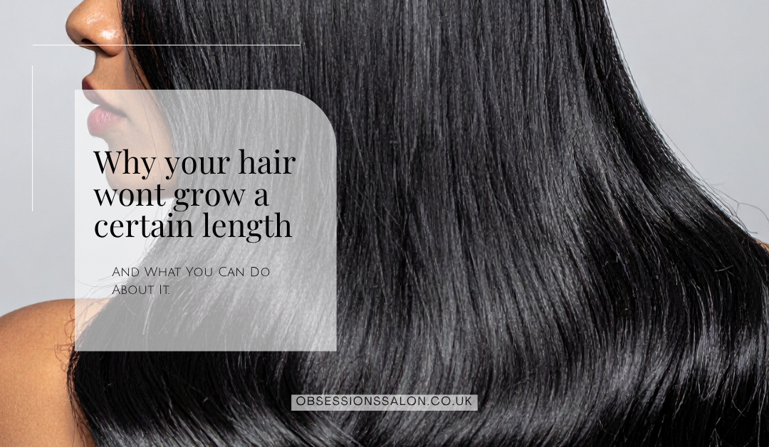 The four reasons your hair wont grow.